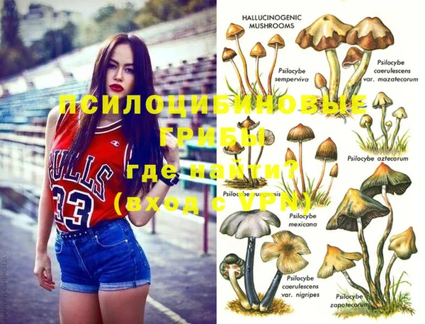 ешки Михайлов