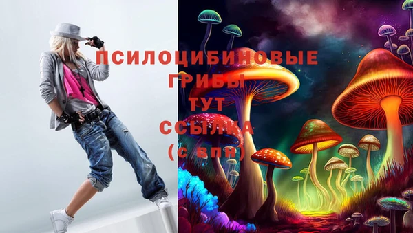дурь Михайловск