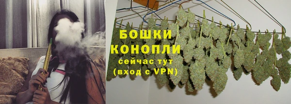 дурь Михайловск