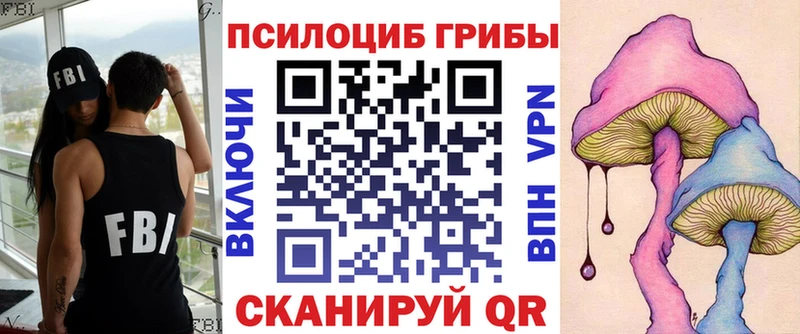 Псилоцибиновые грибы Psilocybine cubensis Пучеж
